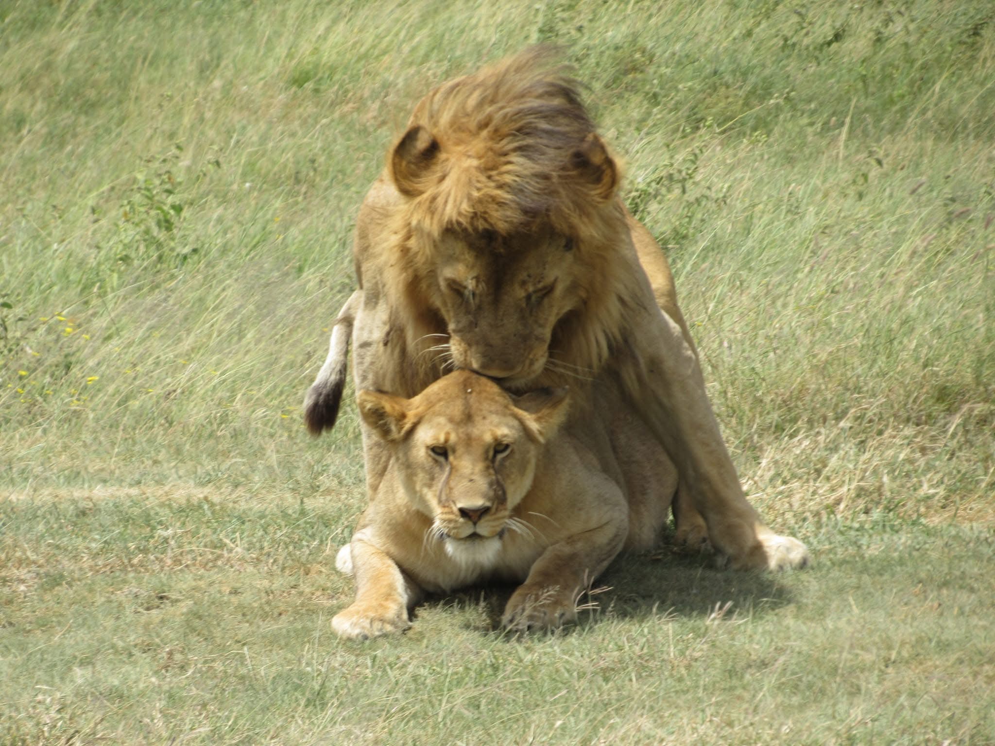 Arusha National Park