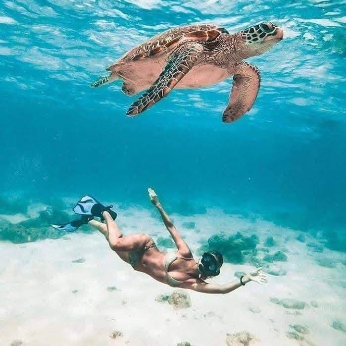 THE CLASSIC 10 DAYS TANZANIA SAFARI & BEACH ESCAPE